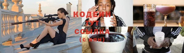 стафф Заволжск