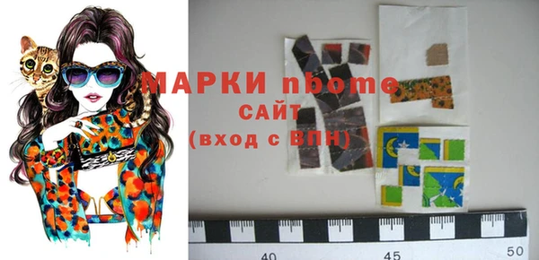 гашик Пересвет