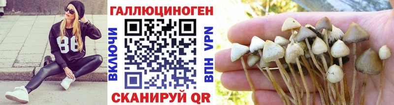 Галлюциногенные грибы Magic Shrooms  Сим 