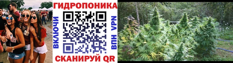 Канабис Amnesia  это какой сайт  Сим  что такое наркотик 